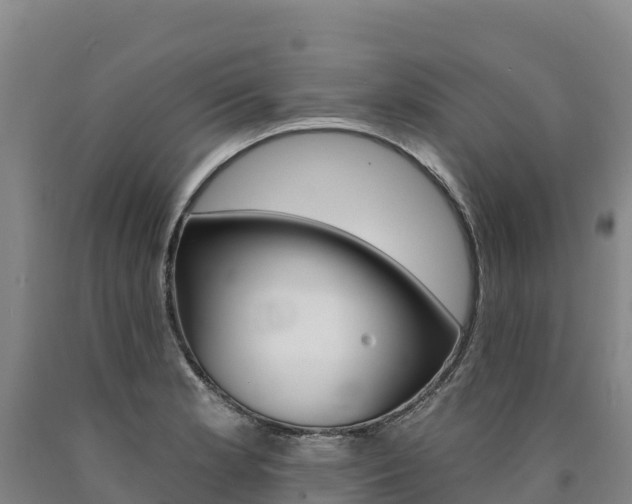 X0000090931181200707301108