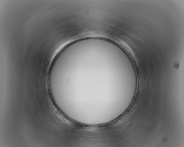 X0000090931182200707301108
