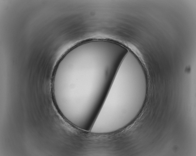 X0000090931183200707301108