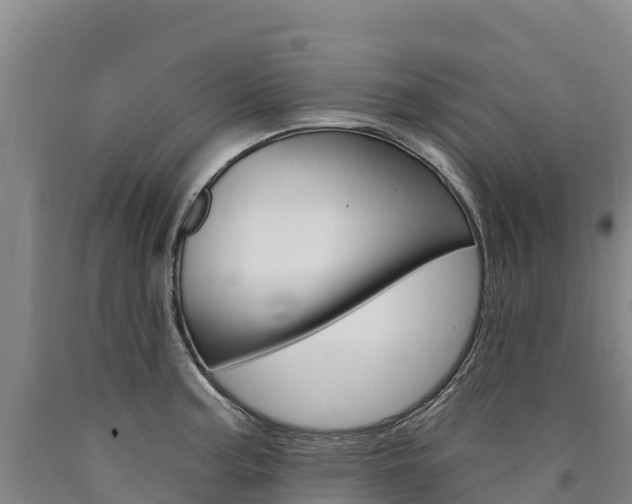 X0000090931187200707301108