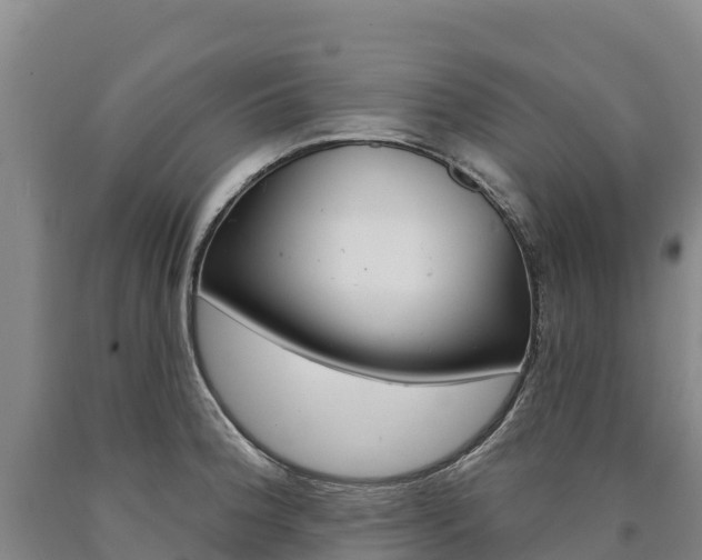 X0000090931188200707301108