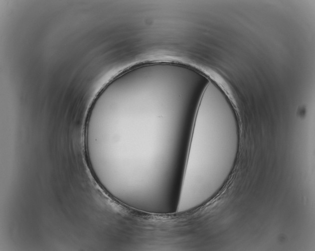 X0000090931191200707301108