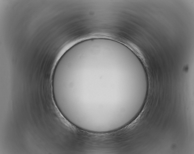 X0000090931192200707301108