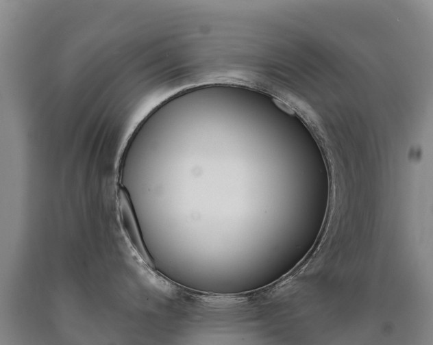 X0000090931200200707301108