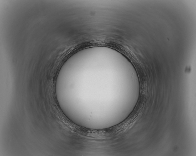 X0000090931201200707301107