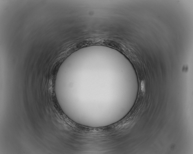 X0000090931203200707301107
