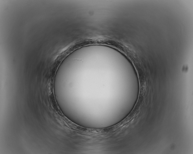 X0000090931205200707301107