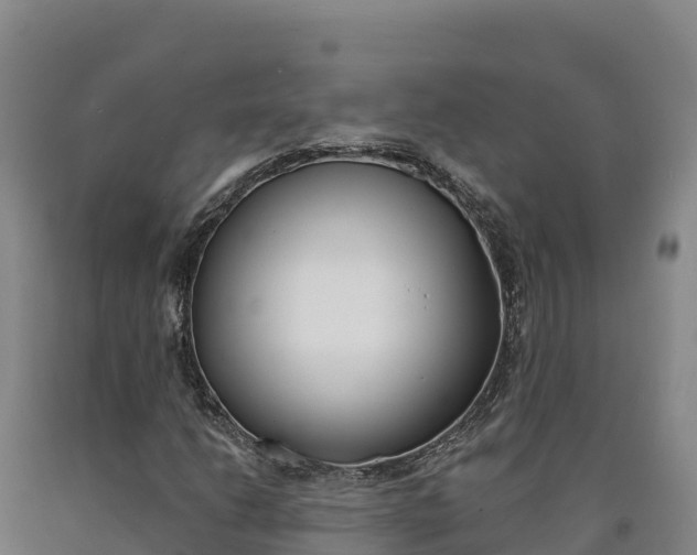 X0000090931206200707301107