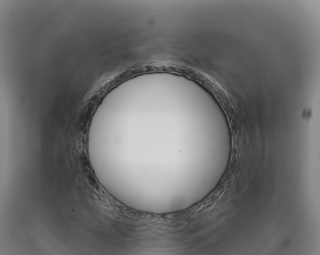 X0000090931207200707301107