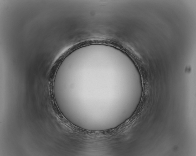 X0000090931208200707301107