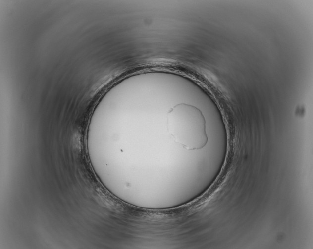 X0000090931209200707301107