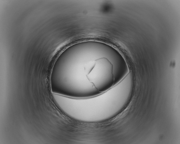 X0000090931210200707301107
