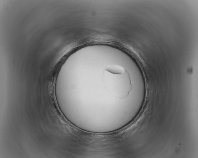 X0000090931211200707301107