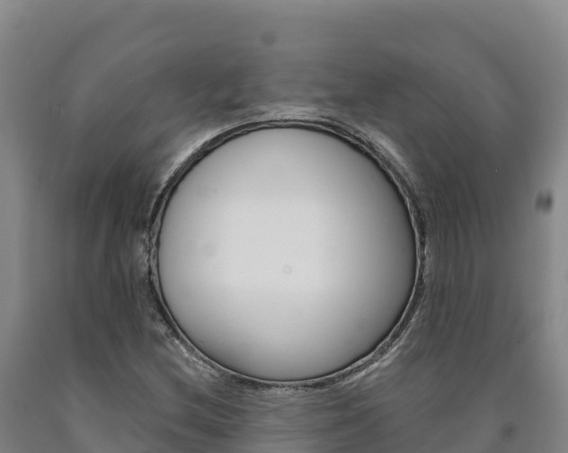 X0000090931212200707301107