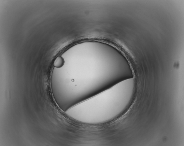 X0000090931213200707301107