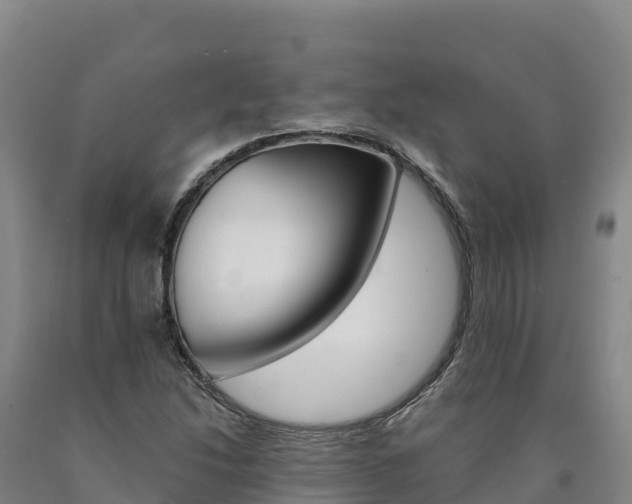 X0000090931214200707301107