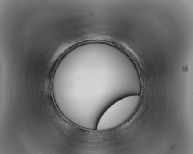 X0000090931215200707301107