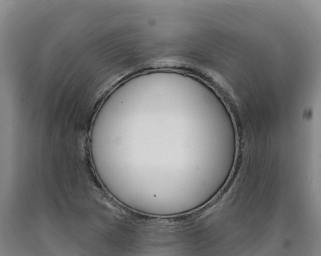 X0000090931217200707301108