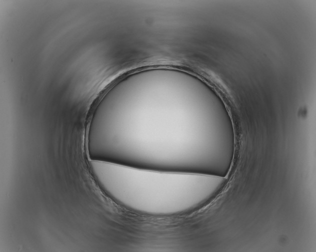 X0000090931220200707301108