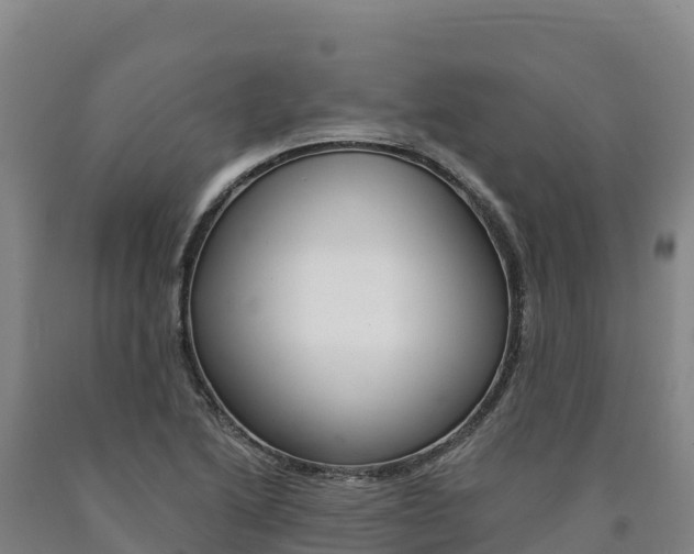 X0000090931222200707301108