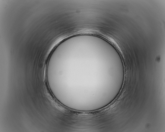 X0000090931227200707301108