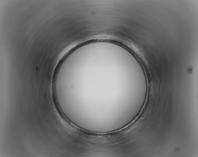 X0000090931229200707301108