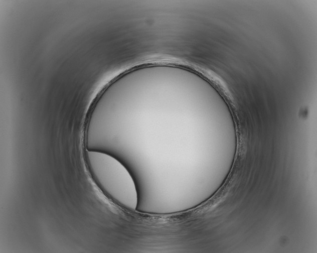 X0000090931231200707301108