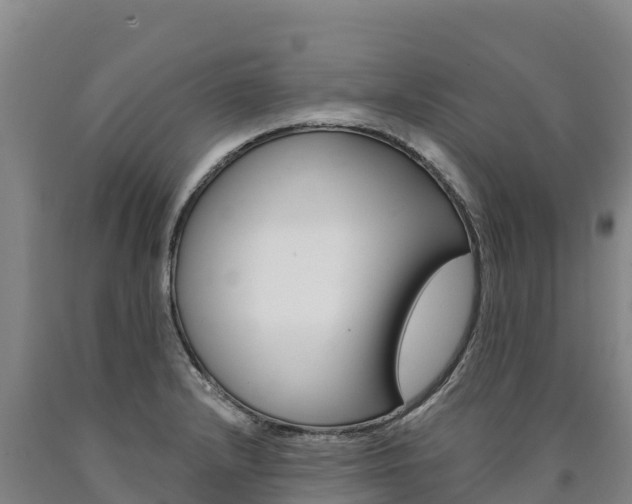 X0000090931232200707301108
