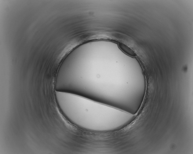 X0000090931233200707301108