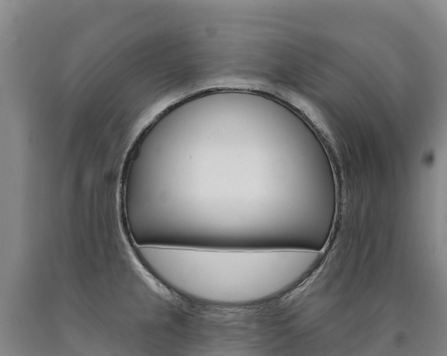 X0000090931237200707301108