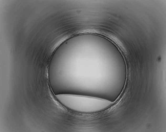 X0000090931241200707301108