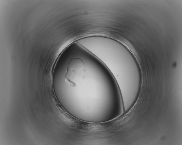 X0000090931242200707301108