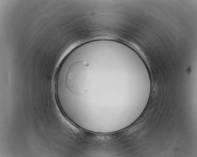 X0000090931243200707301108