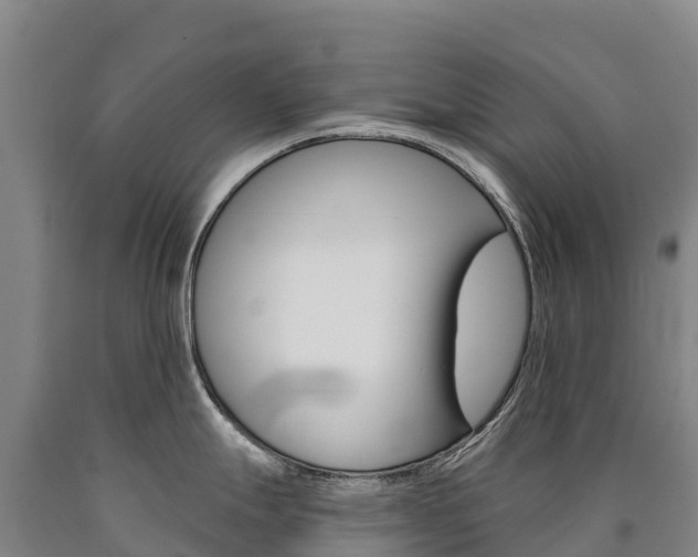 X0000090931247200707301108