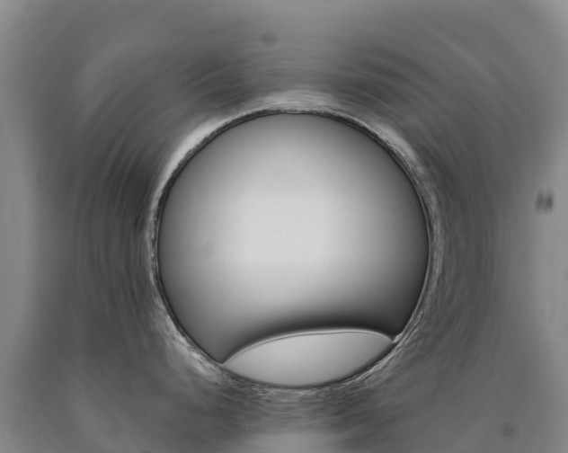 X0000090931248200707301108