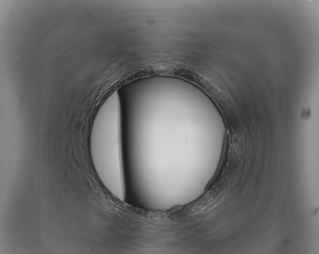 X0000090931249200707301107