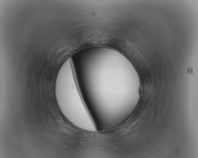 X0000090931250200707301107