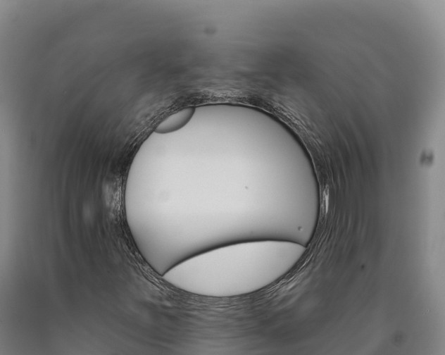 X0000090931251200707301107