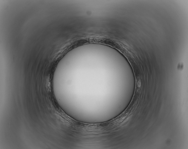 X0000090931252200707301107