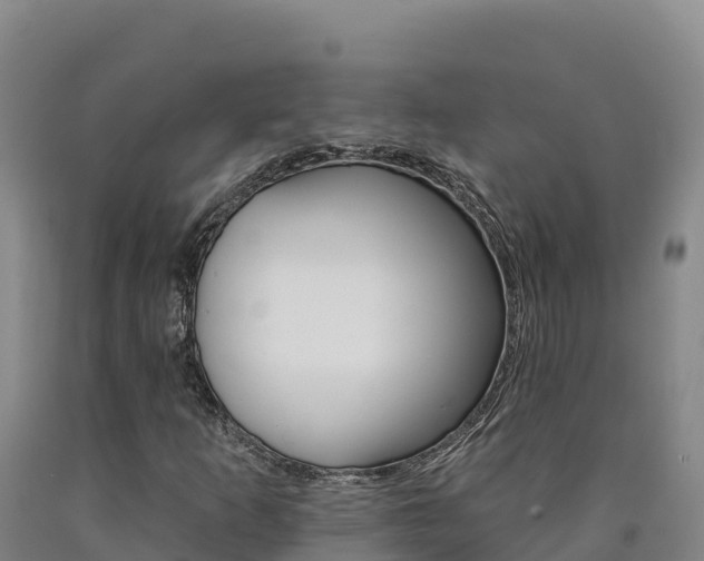 X0000090931253200707301107