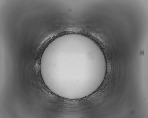 X0000090931254200707301107