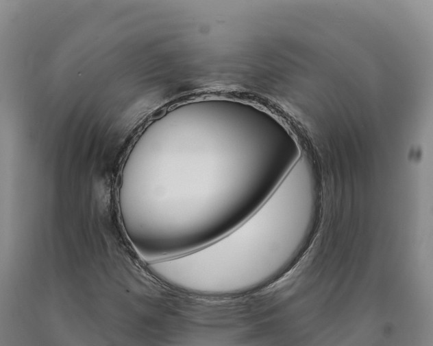 X0000090931257200707301107