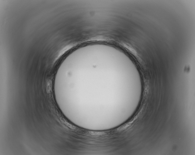 X0000090931258200707301107