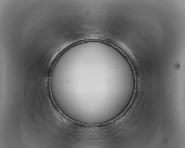 X0000090931260200707301107