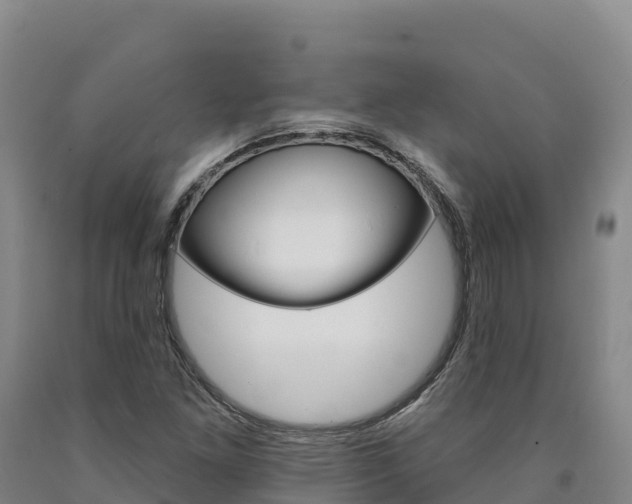 X0000090931261200707301107