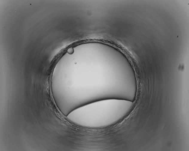 X0000090931262200707301107