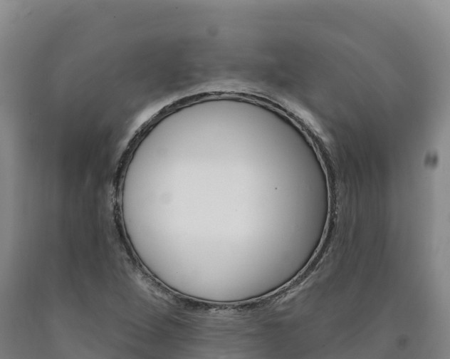 X0000090931264200707301107