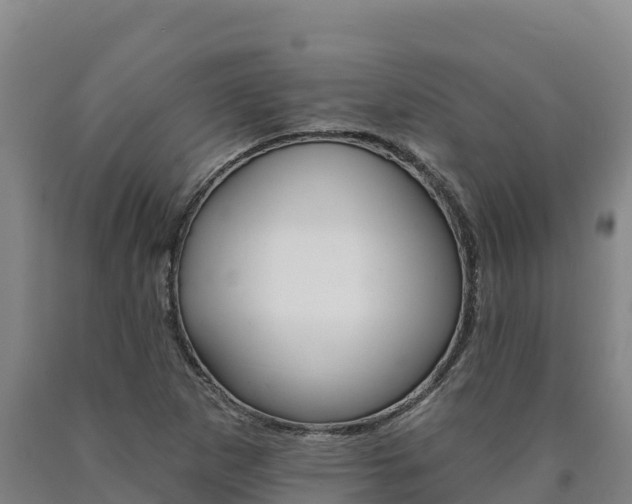 X0000090931265200707301107