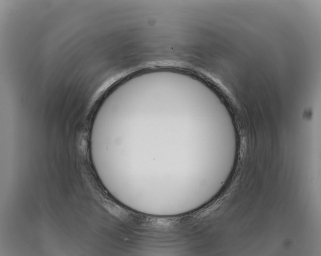 X0000090931266200707301107