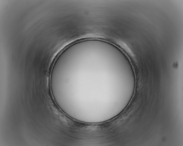 X0000090931268200707301107